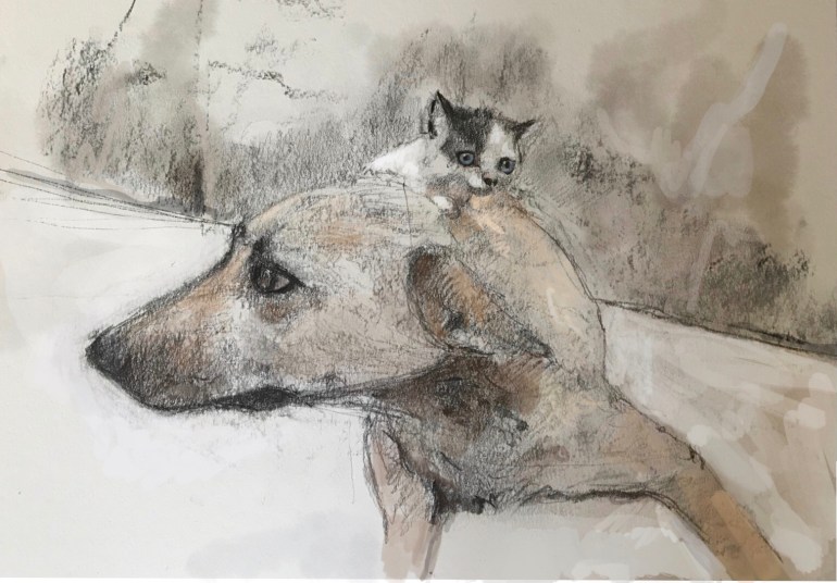 67DEE5CF-FFD7-4CC4-85BD-BE2DF078FFE1