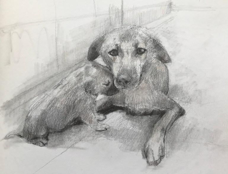 D7B2F0A0-7E69-4941-8DA2-A48AA9D712E4