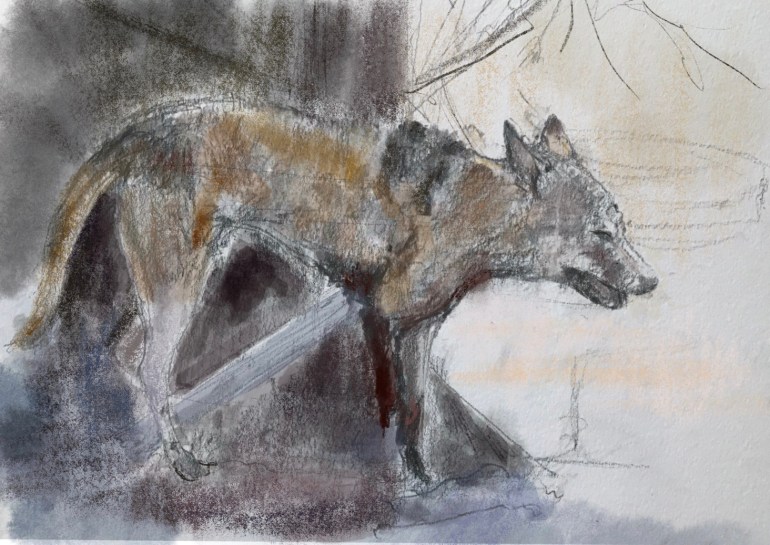 0084CD27-2F97-4598-80A1-5A99A62458BB